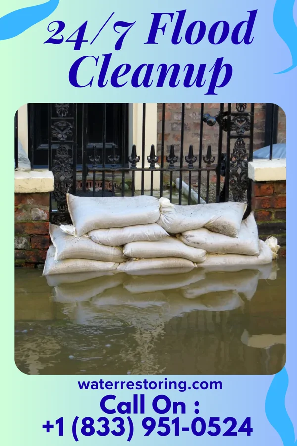 24/7 Flood Cleanup in Honalo, HI