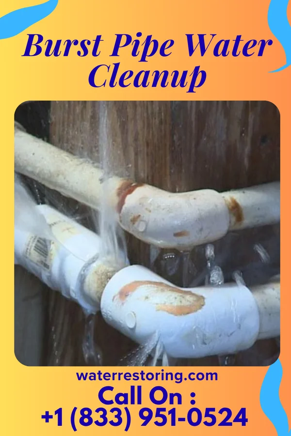 Burst Pipe Water Cleanup in Honalo, HI