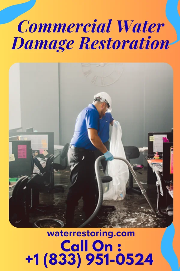 Commercial Water Damage Restoration in Honalo, HI