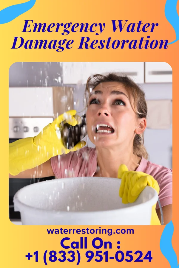 Emergency Water Damage Restoration in Honalo, HI