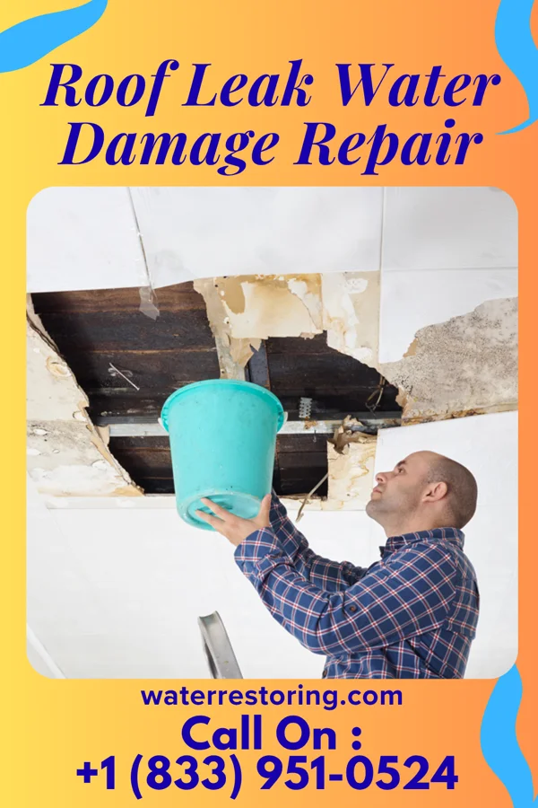 Roof Leak Water Damage Repair in Honalo, HI