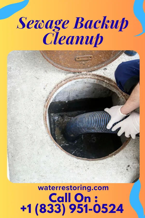 Sewage Backup Cleanup in Honalo, HI