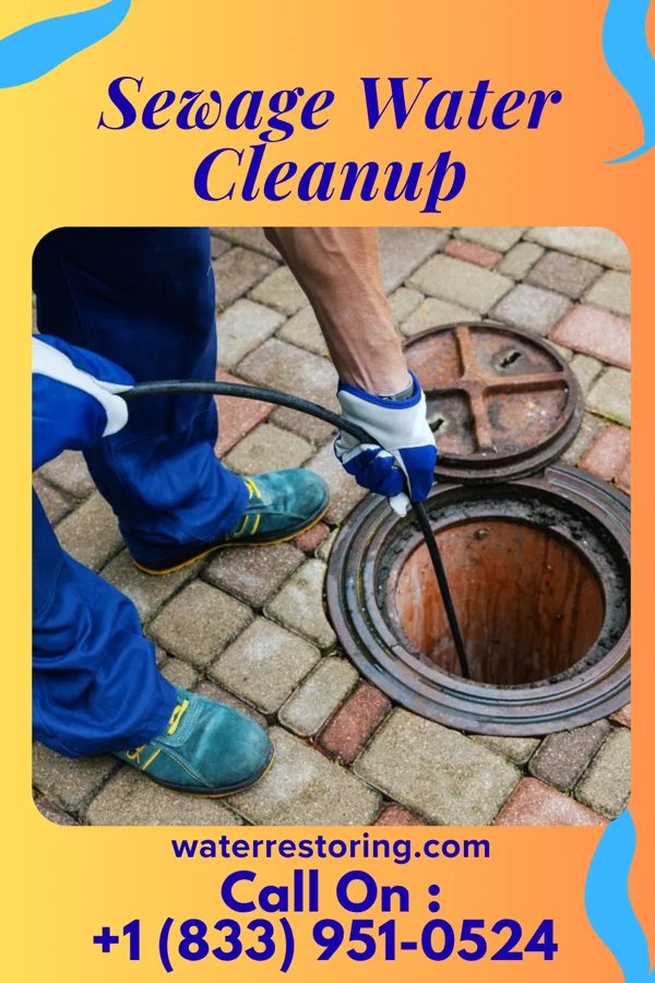 Sewage Water Cleanup in Honalo, HI