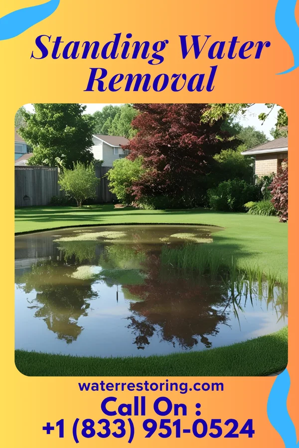 Standing Water Removal in Honalo, HI